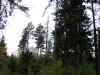 43400015.JPG (1163944 octets)